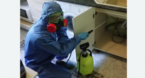 Уничтожение муравьев в квартире. Калач-на-Дону