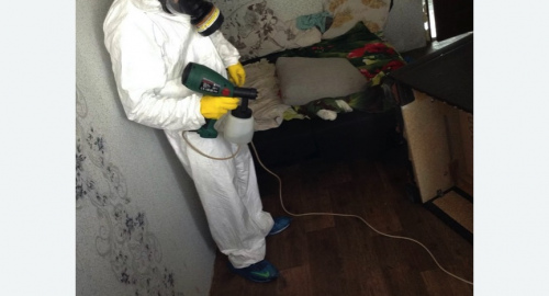 Обработка квартир от насекомых в Калаче-на-Дону