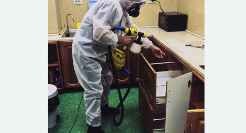 Дезинсекция квартиры. Калач-на-Дону