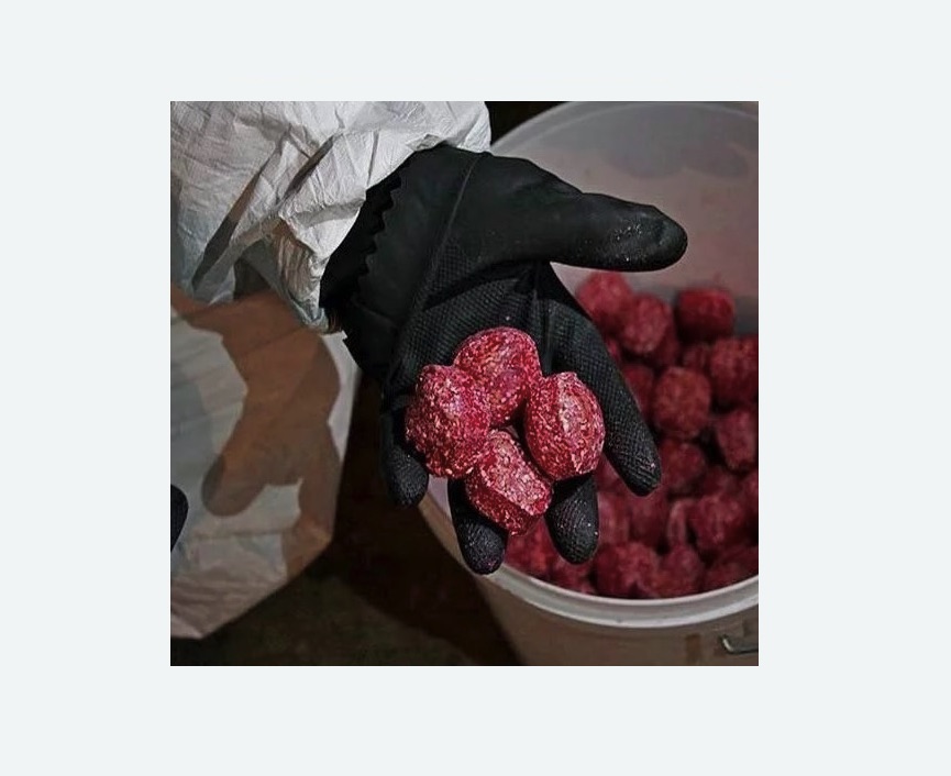 Обработка от крыс в Калаче-на-Дону