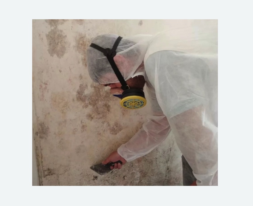 Обработка стен от плесени в Калаче-на-Дону