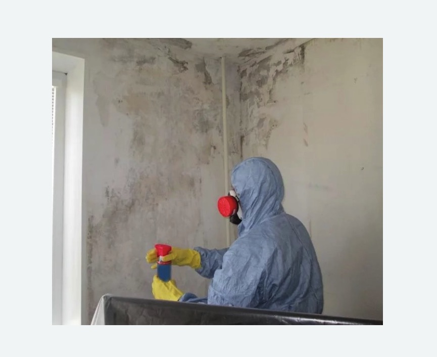 Удаление плесени в квартире в Калаче-на-Дону