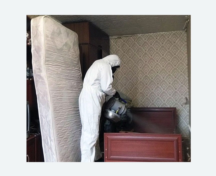 дезинфекция от клопов в Калаче-на-Дону