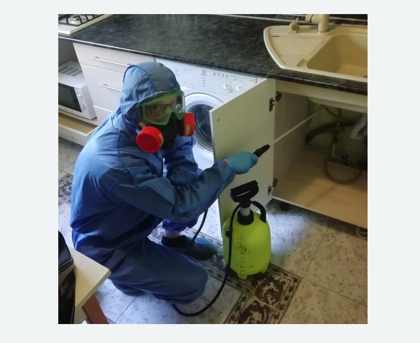 обработка от муравьев в квартире в Калаче-на-Дону